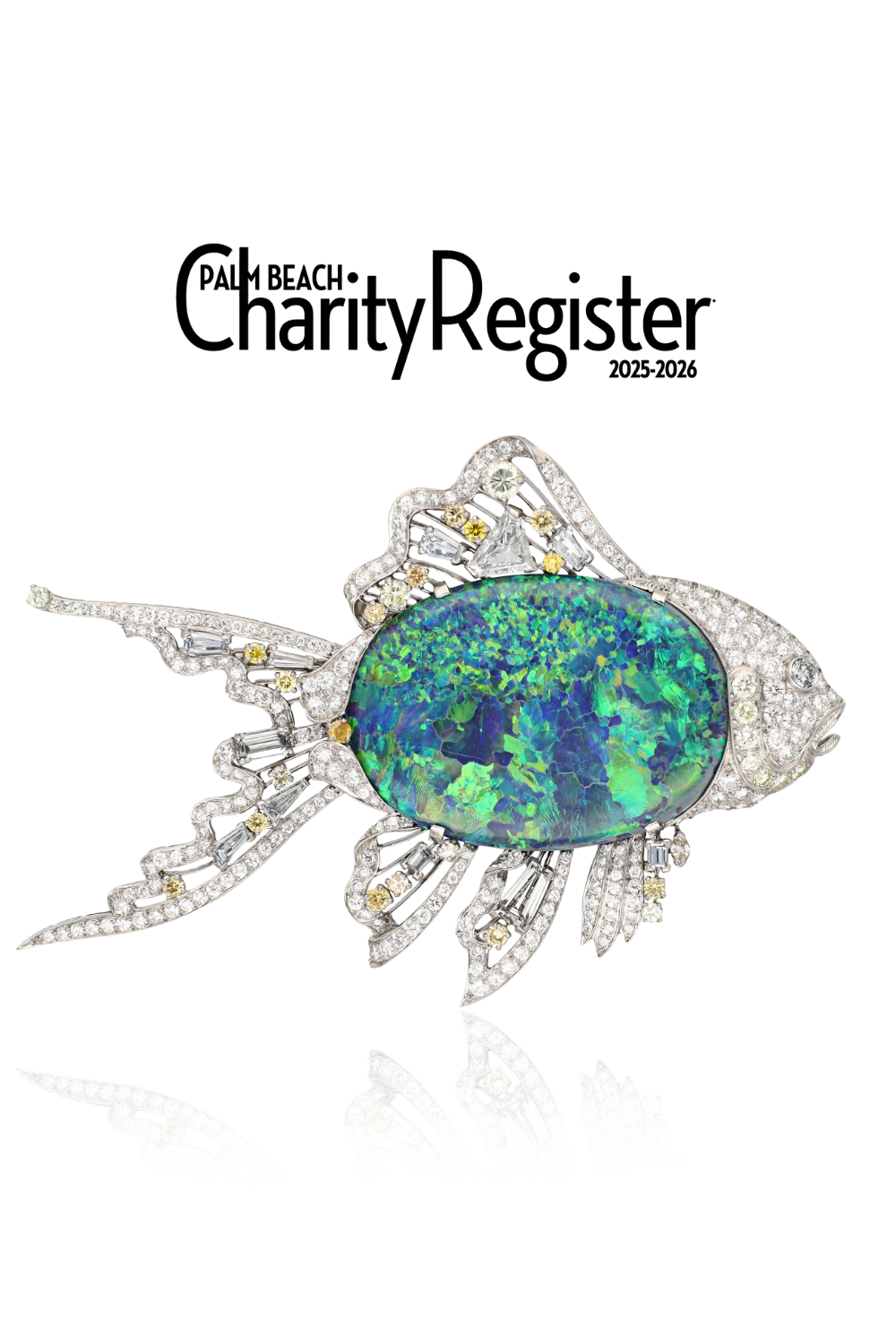 PALM BEACH CHARITY REGISTER: Light Bright