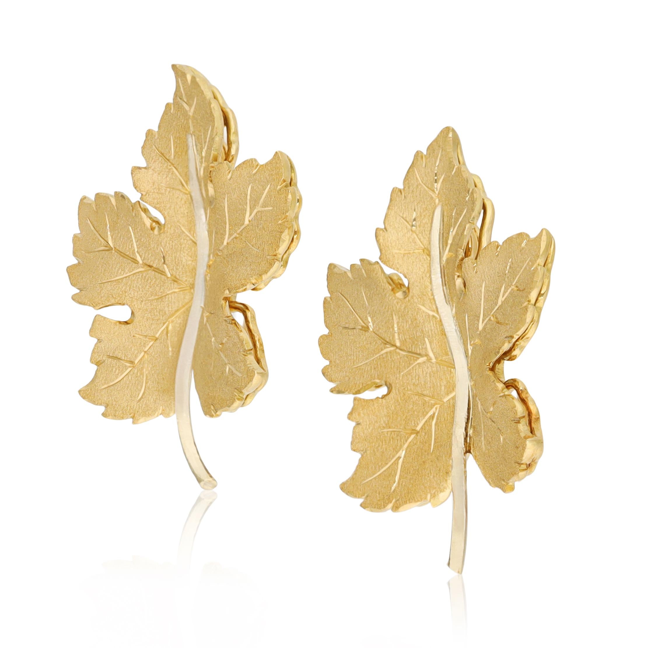 BUCCELLATI 18K Yellow Gold Large Maple Leaf Ear Clips