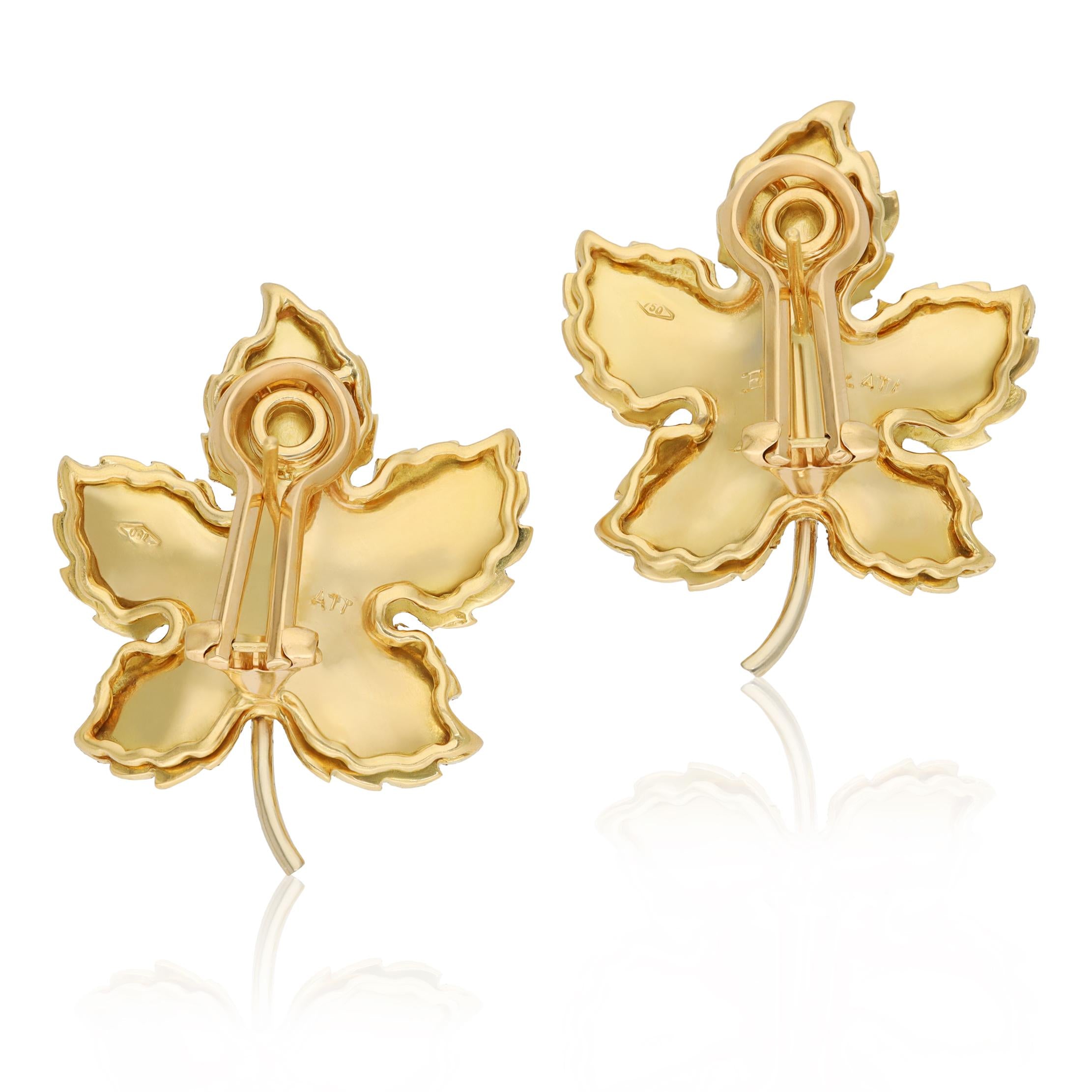 BUCCELLATI 18K Yellow Gold Large Maple Leaf Ear Clips