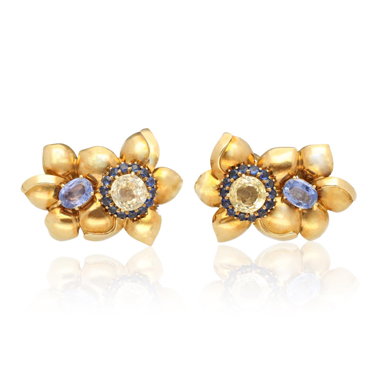 Sabbadini Blue and Yellow Sapphire Earrings