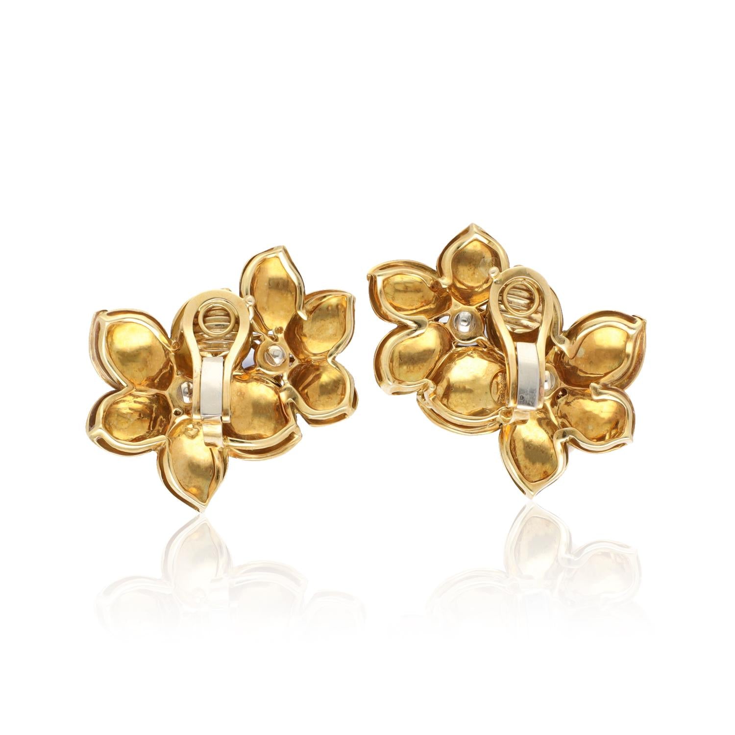 Sabbadini Blue and Yellow Sapphire Earrings