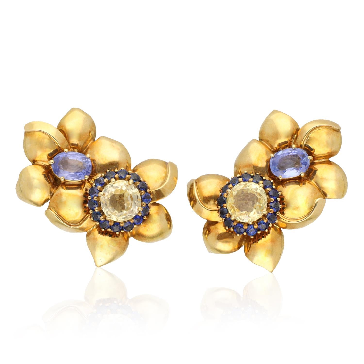 Sabbadini Blue and Yellow Sapphire Earrings