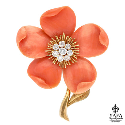 VAN CLEEF & ARPELS Rose De Noel Brooch